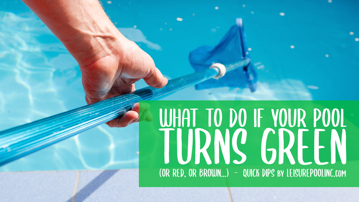 Quick Dips - What to Do If Your Pool Water Turns Green, or Red, or Brown - Pool Care Guides
